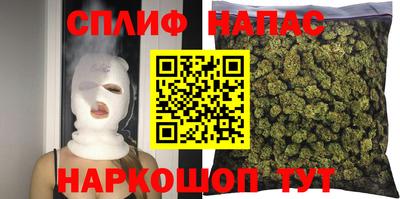 стаф Нальчик