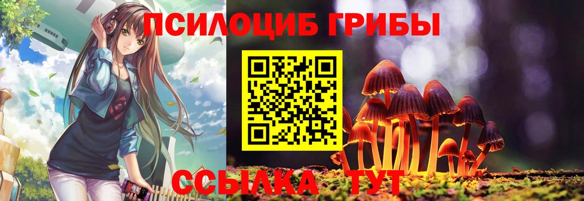 Белая Калитва  закладка  Вход с VPN  Псилоцибиновые грибы Psilocybine cubensis 